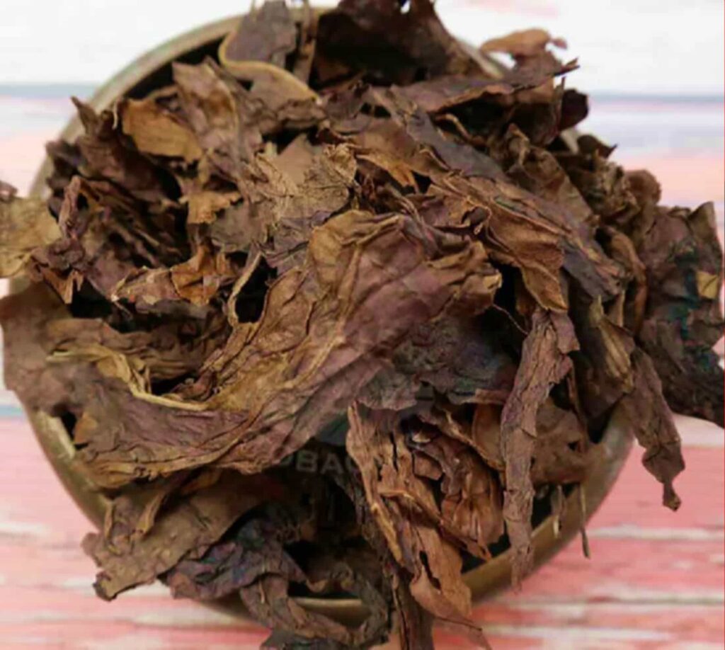 Листья табака из Кентукки, обработанные дымом, готовы к переработке